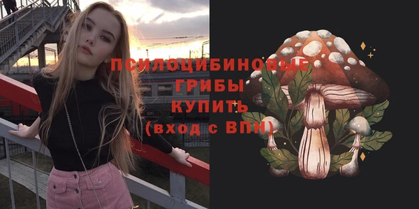 соль ск Абаза