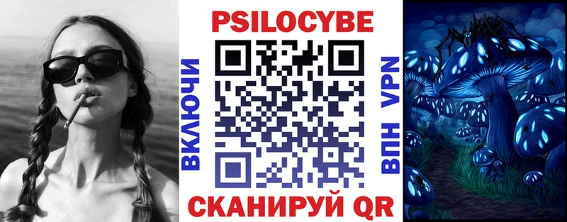 площадка наркотические препараты  Холмск  Галлюциногенные грибы Psilocybine cubensis  даркнет сайт 