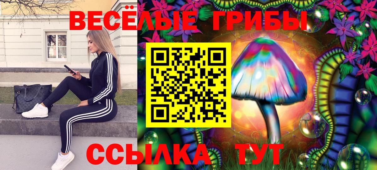 Холмск  Галлюциногенные грибы Cubensis  Вход с VPN  Псилоцибиновые грибы мицелий 